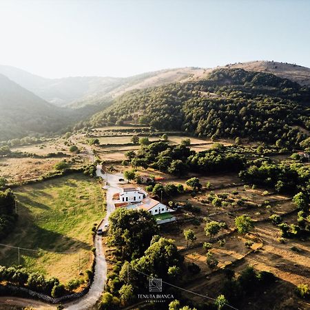Tenuta Bianca Agriresort Sanza Luaran gambar
